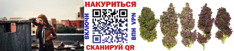 Все наркотики Клинцы АМФЕТАМИН  Конопля  Мефедрон  Гашиш 